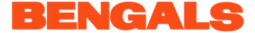 Cinncinati Bengals Preview