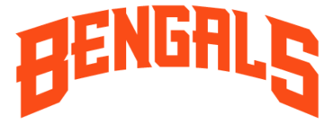 Cinncinati Bengals Preview