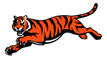 Cinncinati Bengals Preview