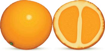 Food - Citrus fruit 1 