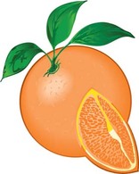 Food - Citrus fruit 5 