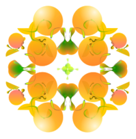 Citruses and Leaves Preview