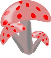 Flowers & Trees - Ciuperci Mushrooms clip art 