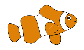 Clown Fish