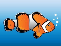 Animals - Clown Fish Vector 