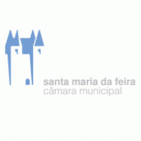 Government - Câmara Municipal de Santa Maria da Feira 