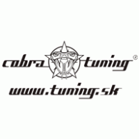 Auto - Cobra Tuning 