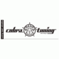 Auto - Cobra Tuning 