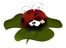 Coccinella