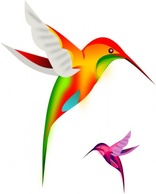 Colibri Birds clip art Preview