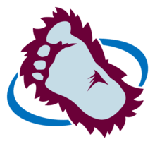 Colorado Avalanche