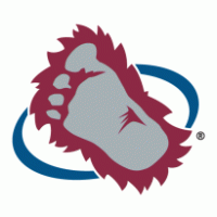 Colorado Avalanche Preview