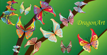 Animals - Colorful butterflies 