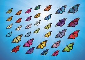 Animals - Colorful Butterflies 