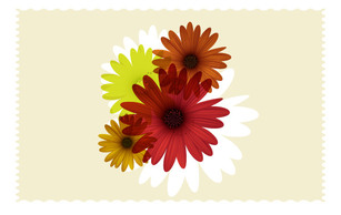 Flowers & Trees - Colorful Daisy Flowers 