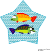 Colorful Fish Free Vector 