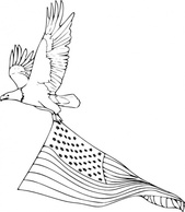 Objects - Coloring Book Bald Eagle clip art 