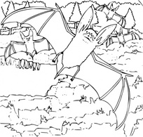 Cartoon - Coloring Book Ozark Big Eared Bat clip art 