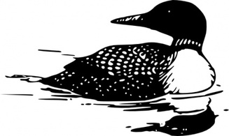 Common Loon clip art