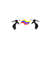 Condor Colombiano Preview