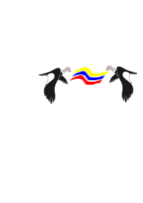 Signs & Symbols - Condor Colombiano 