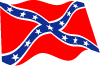 Confederate Vector Flag