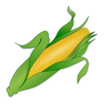 Food - Corn 