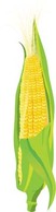 Corn 2 Preview