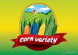 Food - Corn 