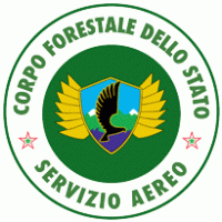 Corpo Forestale Servizio Aereo Preview