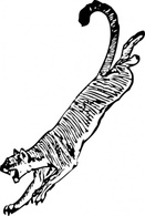 Cougar clip art