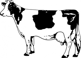 Cow clip art