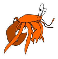 Animals - Crab 