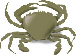 Nature - Crab clip art 