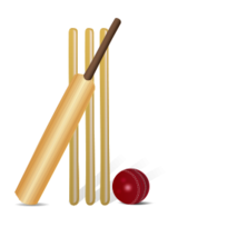 Sports - Cricket 