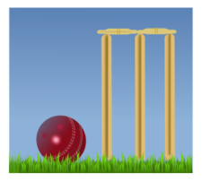 Cricket Illustration Preview