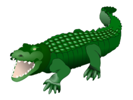 Crocodile 