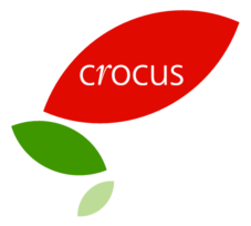 Crocus