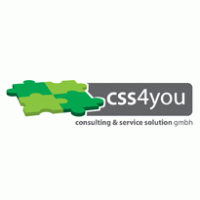 Services - CSS consulting & service solution 