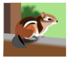 Animals - Cute Chipmunk 