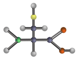 Cysteine (amino acid)