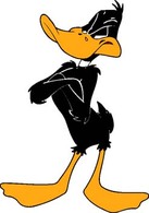 Daffy 5 Preview