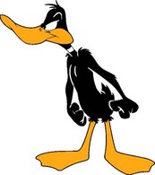 Daffy 8