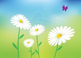 Daisy Vectors