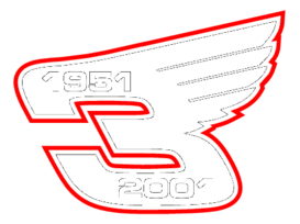 Dale Earnhardt Wings