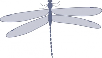 Animals - Damselfly clip art 