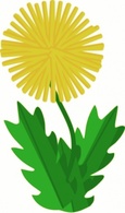 Nature - Dandelion clip art 