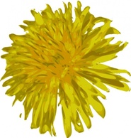 Dandelion clip art 