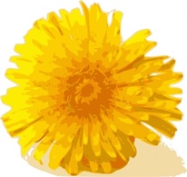 Dandelion clip art 