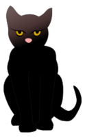 Dark Cat 